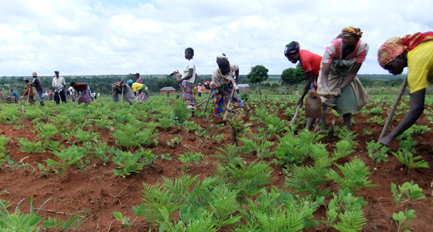 Tras 8 años, se legalizan las primeras tierras en Angola