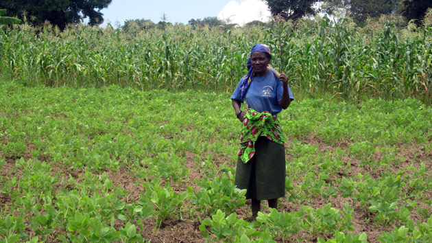 Un molino lleno de oportunidades para los campesinos angoleños