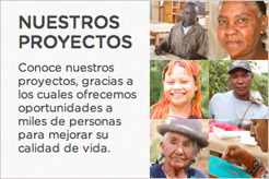 Nuestros proyectos